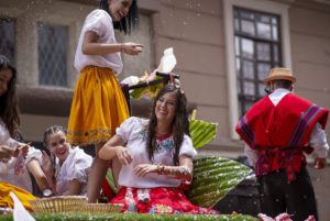 people enjoying carnival